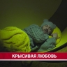 "У нас сыром пропитана вся эта история": Чехов-центр представил постановку о трагической любви мышей