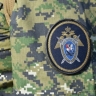 Избиение главы Каменского района: обвиняемый заключен под стражу