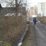 Владельцам частных домов в Великом Новгороде напомнили об уборке прилегающих территорий