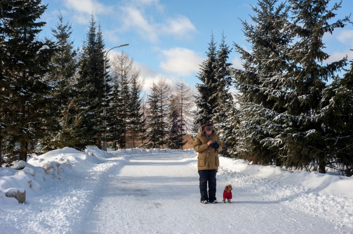 Тишковец: Наступление метеорологической зимы в Москве откладывается на неделю