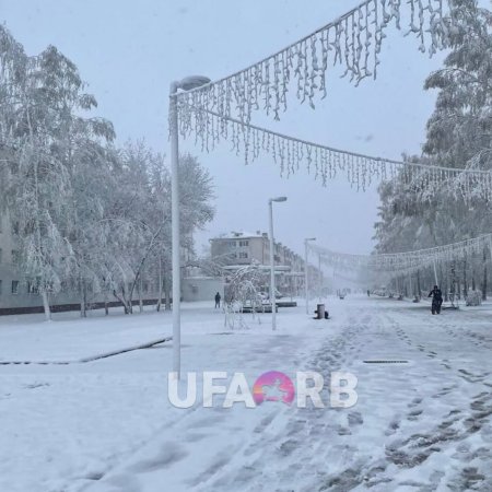 В Башкирии выпал снег