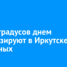 До +4 градусов днем прогнозируют в Иркутске на выходных