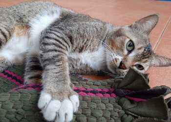 Овны устроят демарш, Водолеи будут придираться к окружающим