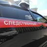 Жителя Петербурга задержали за призывы к терроризму в мессенджере