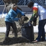 Власти Москвы призвали горожан не убирать прошлогоднюю листву и ветки на субботниках