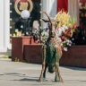 Малооблачно и до +20°C ожидается в Нижнем Новгороде 14 сентября