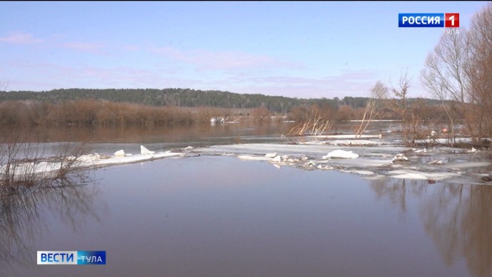 Более 1200 мальков стерляди выпустили в Оку в Тульской области Более 1200 мальков стерляди выпустили в Оку в Тульской области