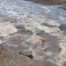 В Бурятии из-за паводка в селе ввели режим ЧС