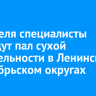 21 апреля специалисты проведут пал сухой растительности в Ленинском и Октябрьском округах