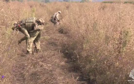 Пиротехники МЧС обезвредили более 14 тысяч боеприпасов в Курской области