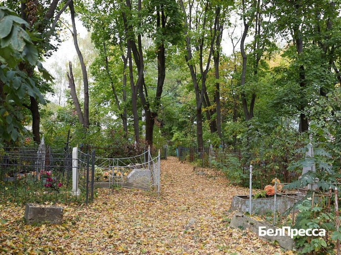 «Мы искали ответы на свои вопросы». Старооскольцы хотят сохранить старинное кладбище «Мы искали ответы на свои вопросы». Старооскольцы хотят сохранить старинное кладбище