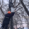 «Ростелеком» обеспечил скоростным интернетом сёла Усть-Коксинского и Турочакского районов