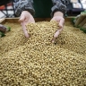 Китай на фоне торговой войны с США закупился одним продуктом в Бразилии