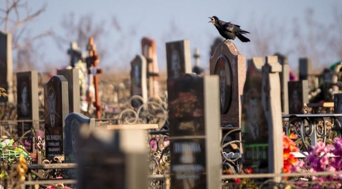 В Белгороде во время атак Украины пострадало 60 памятников на кладбище В Белгороде во время атак Украины пострадало 60 памятников на кладбище