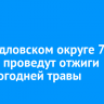 В Свердловском округе 7 апреля проведут отжиги прошлогодней травы