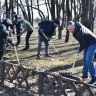Михаил Евраев принял участие в субботнике в центре Ярославля