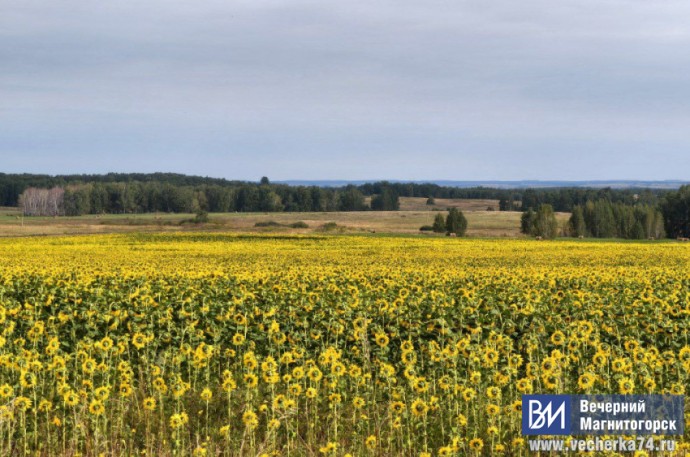 В Магнитогорск возвращается жаркая погода В Магнитогорск возвращается жаркая погода