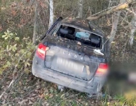 В Башкирии в ДТП лось погубил себя и водителя В Башкирии в ДТП лось погубил себя и водителя