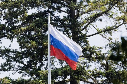 СК отреагировал на сжегшего российский флаг в Берлине мужчину