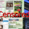 Интернет превратили в инструмент абсолютного контроля – Павел Дуров