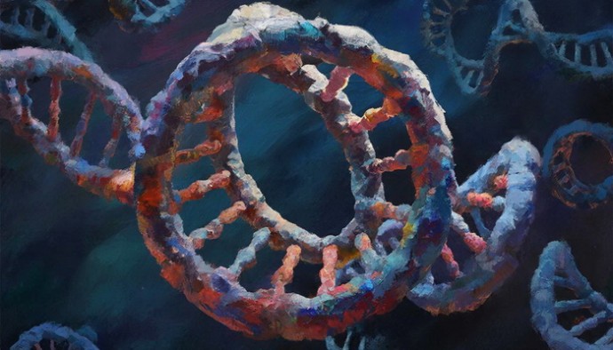 Как клетки передают друг другу кольцевую ДНК Как клетки передают друг другу кольцевую ДНК