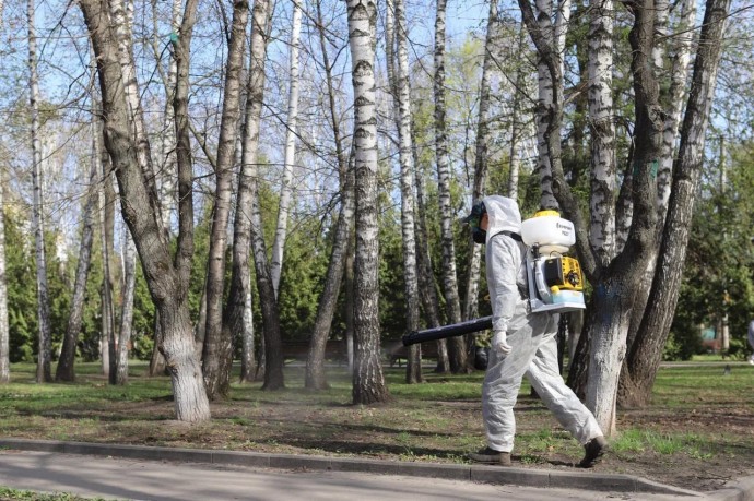 В парках Курска проводится обработка от клещей
