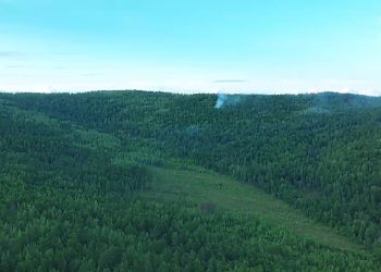 Появилось видео, как пробирались к упавшему в тайгу в Приамурье Ан-24 Появилось видео, как пробирались к упавшему в тайгу в Приамурье Ан-24