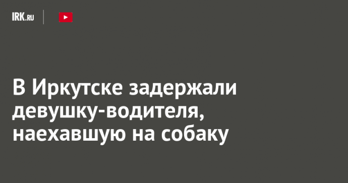 В Иркутске задержали девушку-водителя, наехавшую на собаку