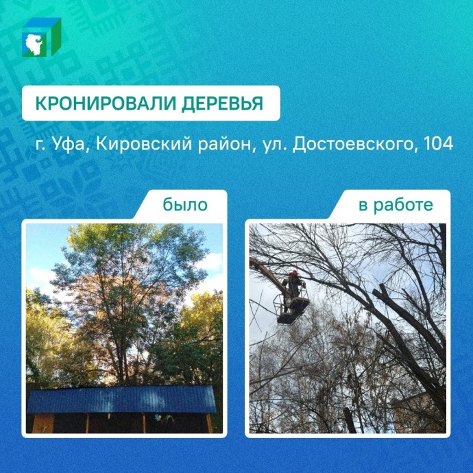 В Уфе по просьбе родителей кронировали деревья у детсада В Уфе по просьбе родителей кронировали деревья у детсада