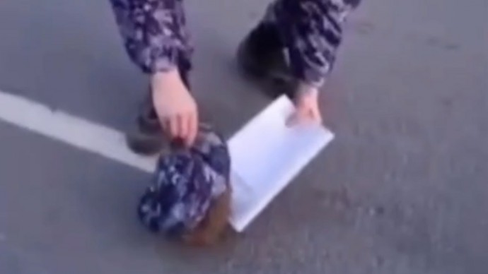 Под Петербургом росгвардейцы спасли ежа