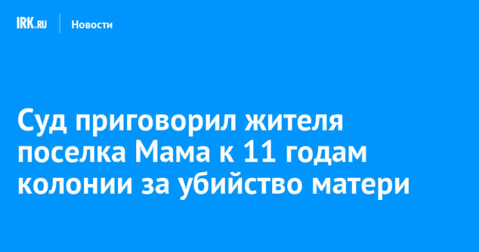 Суд приговорил жителя поселка Мама к 11 годам колонии за убийство матери
