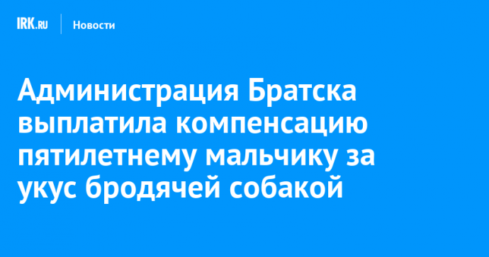 Администрация Братска выплатила компенсацию пятилетнему мальчику за укус бродячей собакой