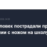 Пять человек пострадали при нападении с ножом на школу в США