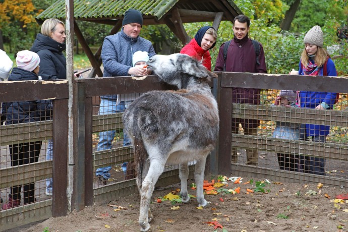 В России растёт спрос на агротуризм В России растёт спрос на агротуризм