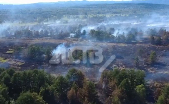 Последствия лесного пожара в районе Тараная сняли на видео с дрона