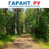 В РФ определили меры по предотвращению распространения инвазивных растений на ООПТ