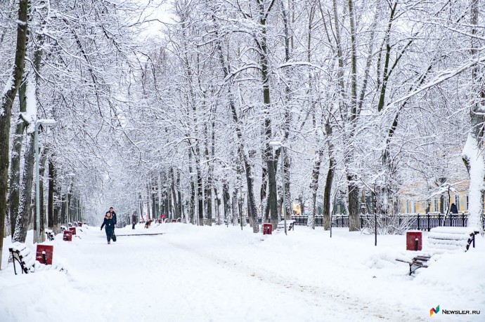 До конца недели в Кирове будут туман, гололедица и мокрый снег