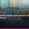 Москва встретит 8 марта облачно и с дождём — синоптики о первых весенних днях