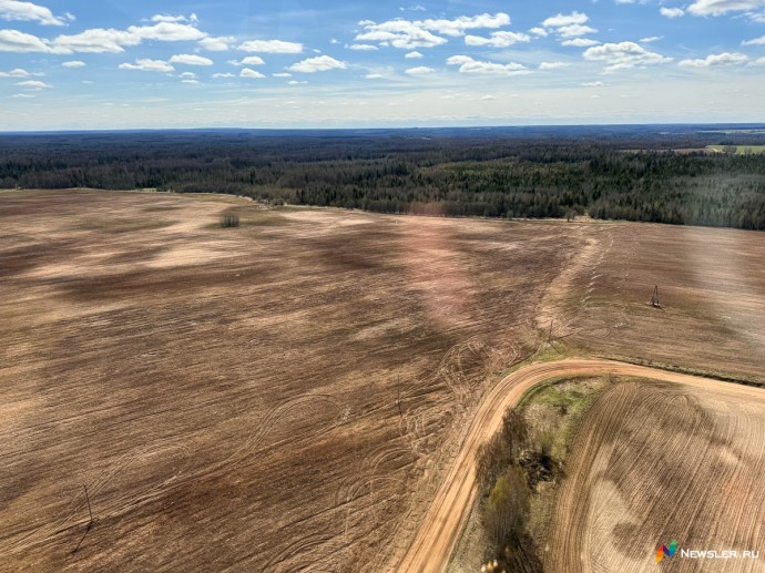 В Кировской области объявлен аукцион на разработку участка «Полевой»