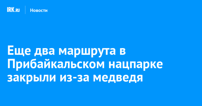 Еще два маршрута в Прибайкальском нацпарке закрыли из-за медведя