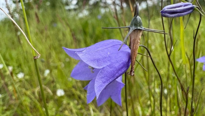 В Башкирии ожидаются дожди и грозы В Башкирии ожидаются дожди и грозы