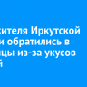 1234 жителя Иркутской области обратились в больницы из-за укусов клещей