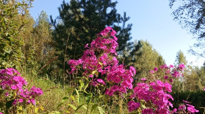 В Башкирии погода будет аномальной В Башкирии погода будет аномальной