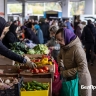 Осени плоды и краски. Почему стоит побывать на фермерской ярмарке в Белгороде