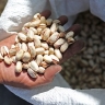 Россиянам назвали четыре защищающих от бессонницы продукта