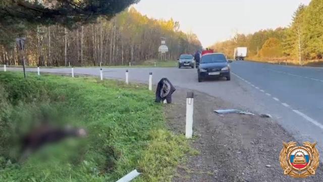 Один человек погиб, трое пострадали в ДТП с лосем в Башкирии Один человек погиб, трое пострадали в ДТП с лосем в Башкирии