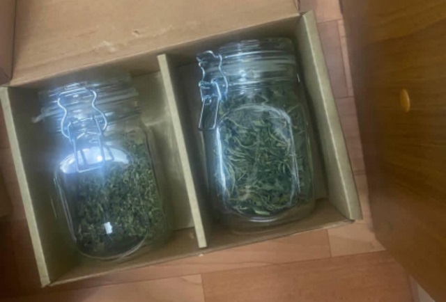 У жителя Саранска в квартире нашли три банки с марихуаной