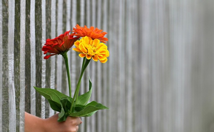 Гороскоп на 19 октября: Деву ждёт приятный сюрприз, а Весов лучше не провоцировать