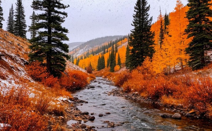 На юге – дождь, на севере – снег: прогноз погоды в Сахалинской области на понедельник, 20 октября