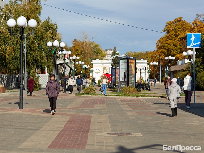 Гладков рассказал, какие задачи ждут Белгородскую область после окончания СВО
